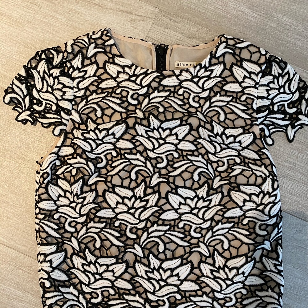 Alice and Olivia two piece set